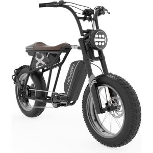 Hover-1 Pro Series Altai R500/R750 Electric Bicycle with 28 mph Max Speed, 750W/500W Motor